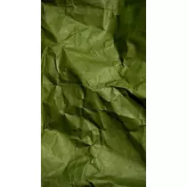 緑 四葉