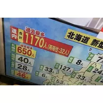七星 夏純