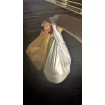 かずは