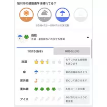 七星 夏純