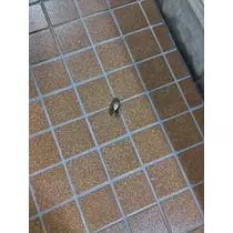 あんず