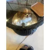 あいら