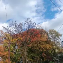 成海 まお