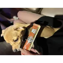 猫羽 のん