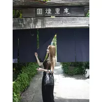 桃星 杏