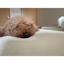 美波 あいか