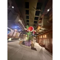 シオン