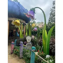 姫花