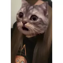 みやび