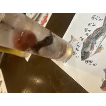 まなか