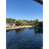 シオン