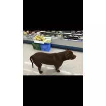 夏樹 あや