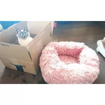 ひな