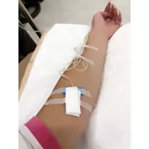 姫花