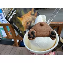 華宮 りりあ
