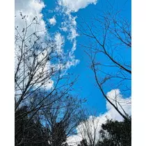 ゆかり
