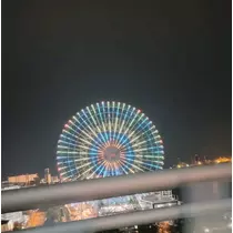 セナ