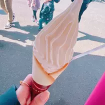 向日葵 ひまり