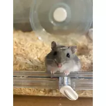 ゆな