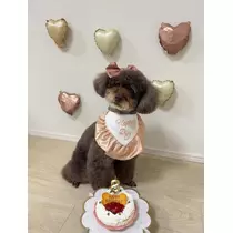 ありさ
