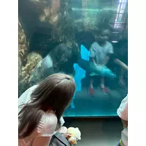 イブキ