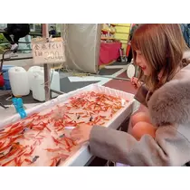 桜咲乃愛