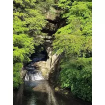 はな