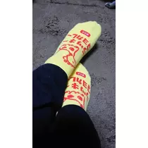 ひな