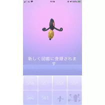 あみ