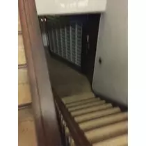 蓮見 リア