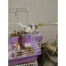 ちよママ