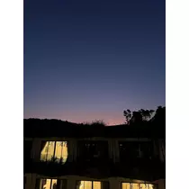 せいか