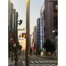 らん