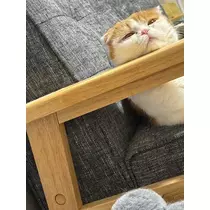 るな