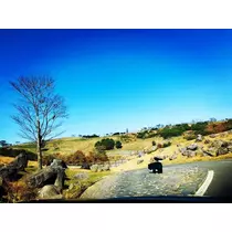 ゆかり