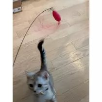 佐倉 里緒