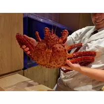 みなみ