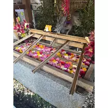 えり