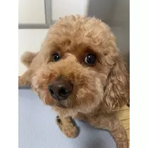 みり
