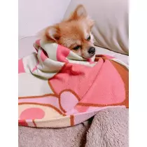 なお