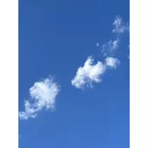 ゆうな
