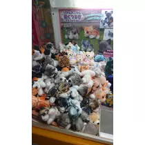 のはら かすみ