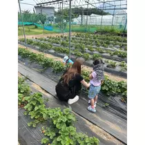 佐倉 里緒
