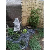 もも