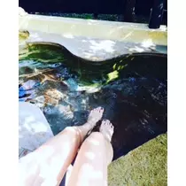 ゆかり