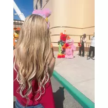 姫花