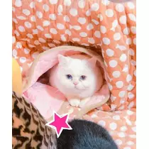 NATSUMI
