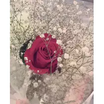 天癒 いちご