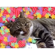 らら
