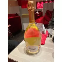宝條 夏恋